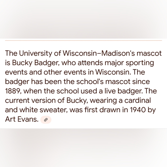 Funko College University of Madison-Wisconsin Bucky Badger - Picture 6 of 6